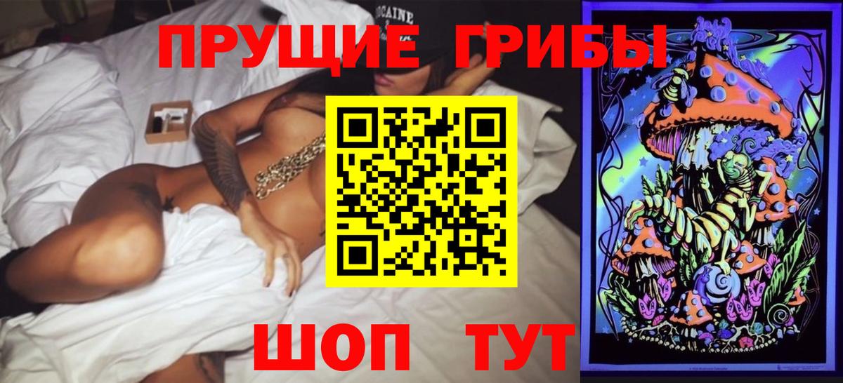 Галлюциногенные грибы Psilocybe Пыть-Ях